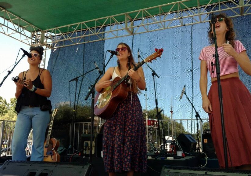 Music at the Festival of Art, Wine and Music Novato North Bay hopmonk Redwood Stage